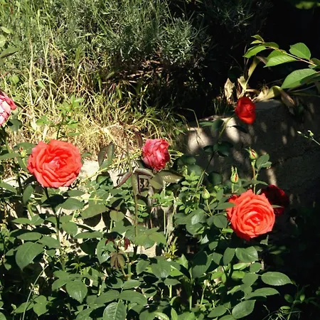 4319a Apartman Vlašići